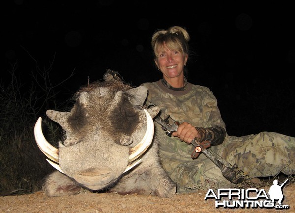 Bowhunting Warthog South Africa