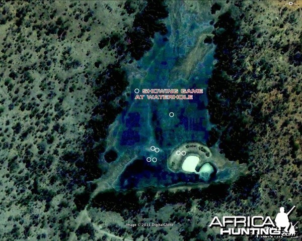 See the game at this waterhole in Namibia?