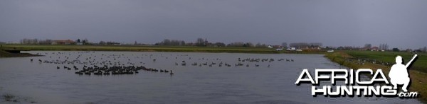 French Hunting Style - Global view of our spread