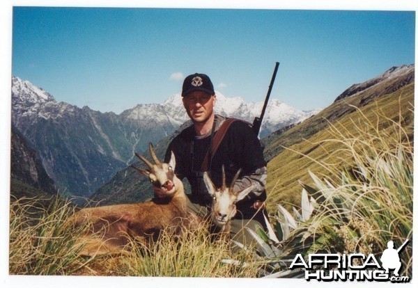 Chamois, West Coast N.Z