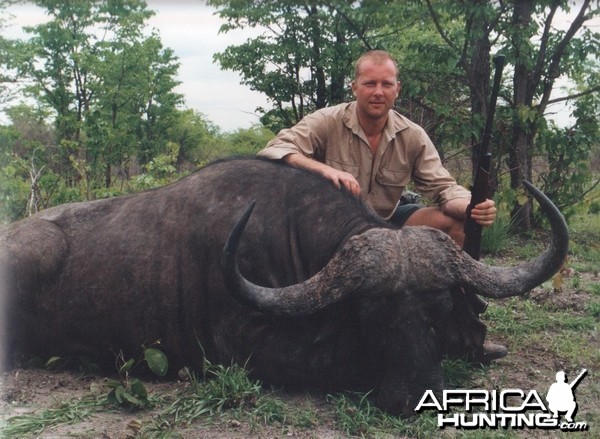 Cape Buffalo, Zimbabwe.