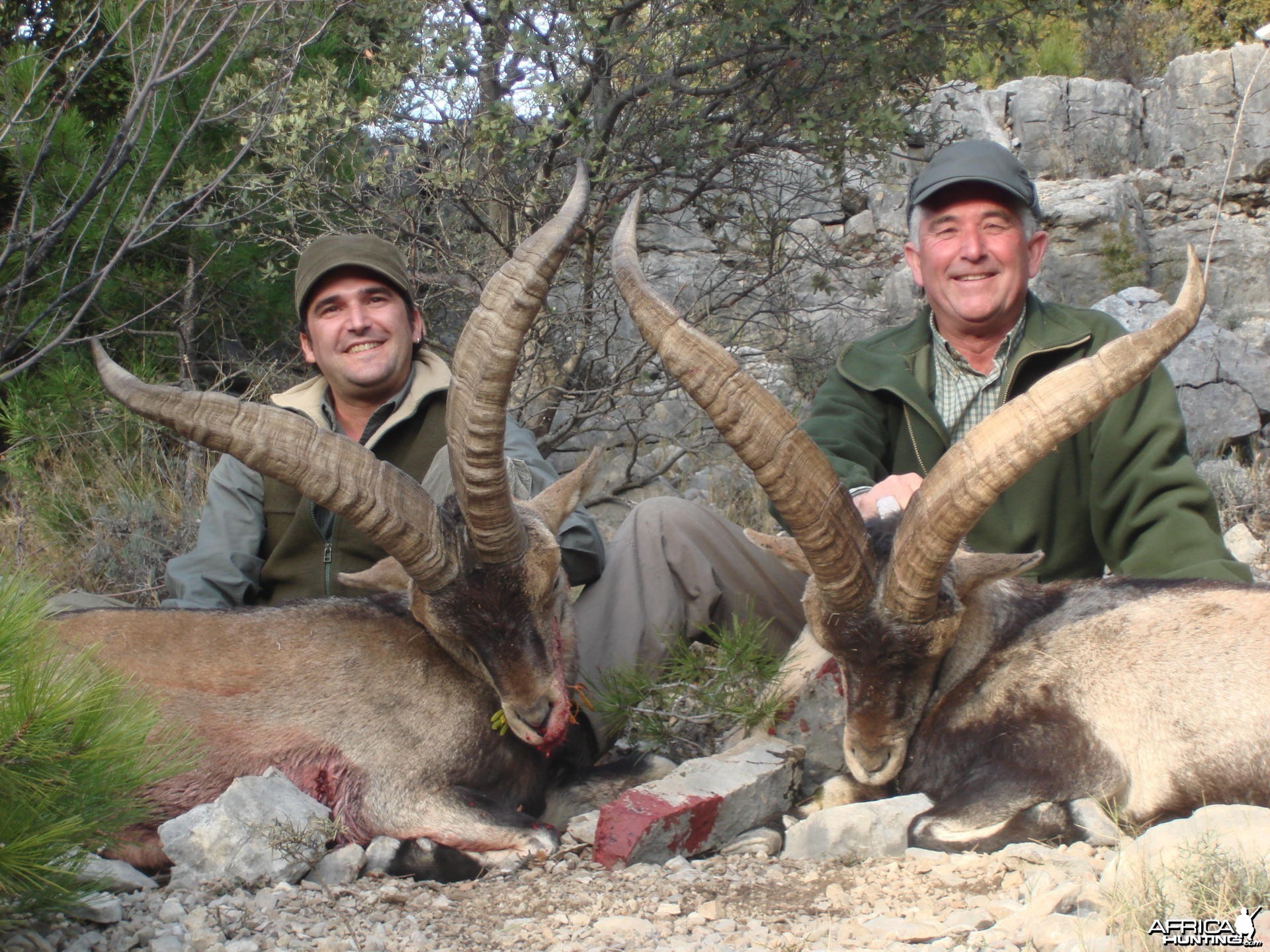 Hunting Beceite Ibex in Spain