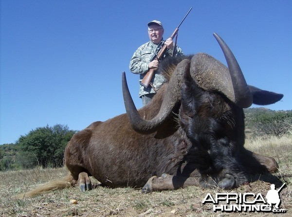 Hunting Black Wildebeest