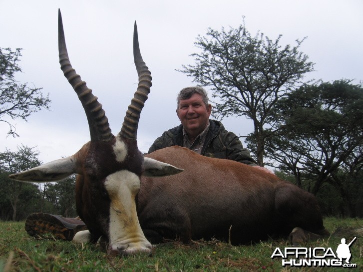 Hunting Blesbok