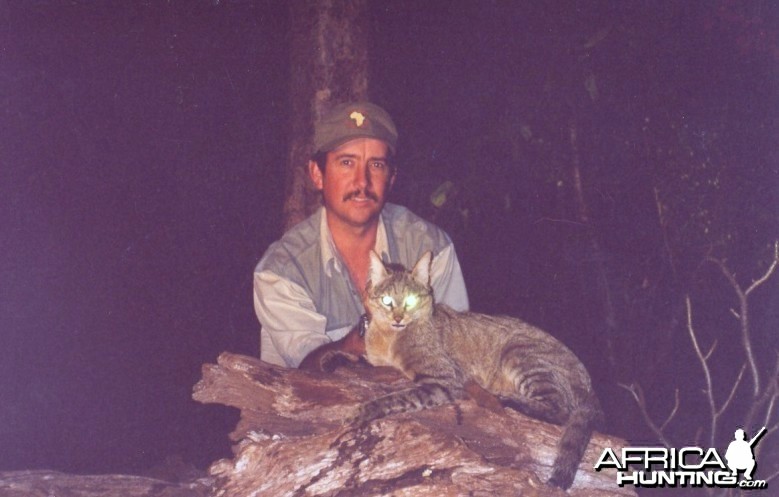 Hunting African Wildcat