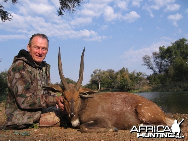 Hunting Bushbuck