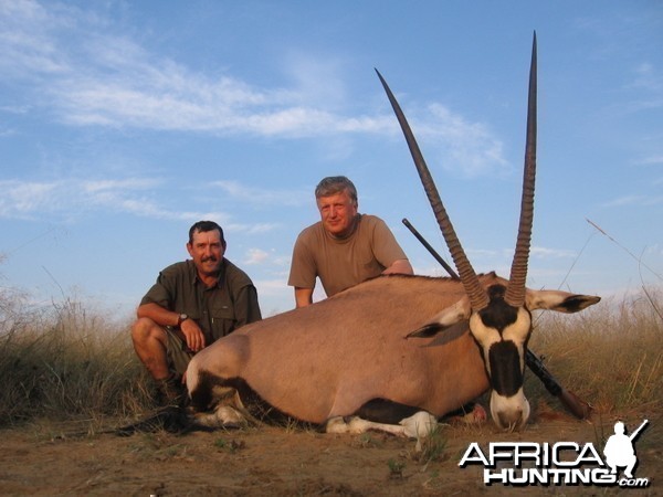 Hunting Gemsbok