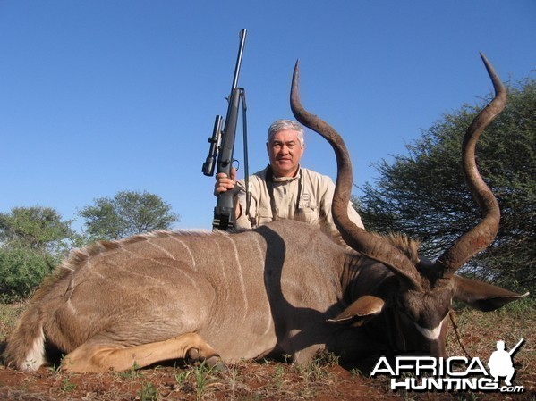 Hunting Kudu 55 inch