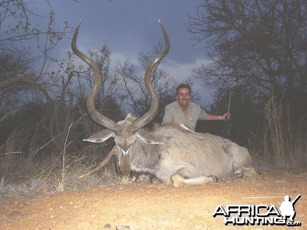 Hunting Kudu 57 inch