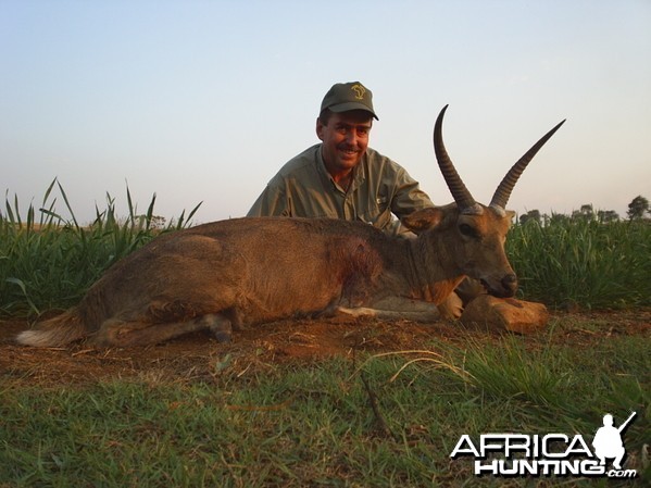 Hunting Common Reedbuck