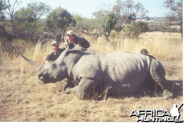 Hunting White Rhino