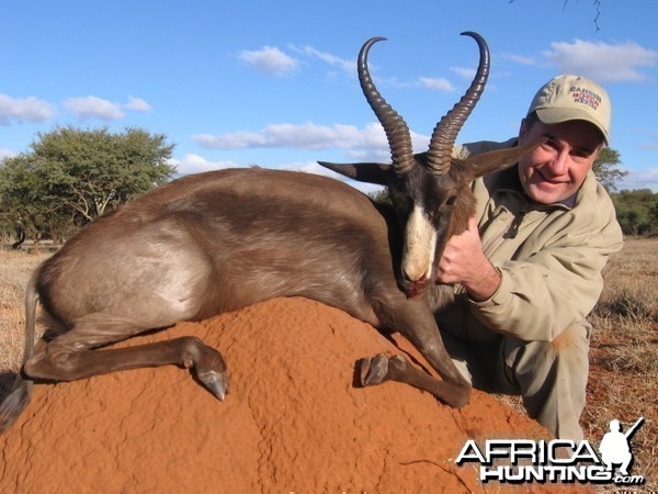 Hunting Black Springbok