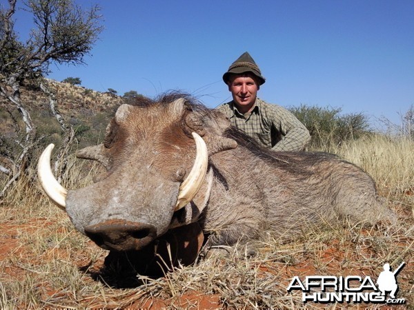 Hunting Warthog