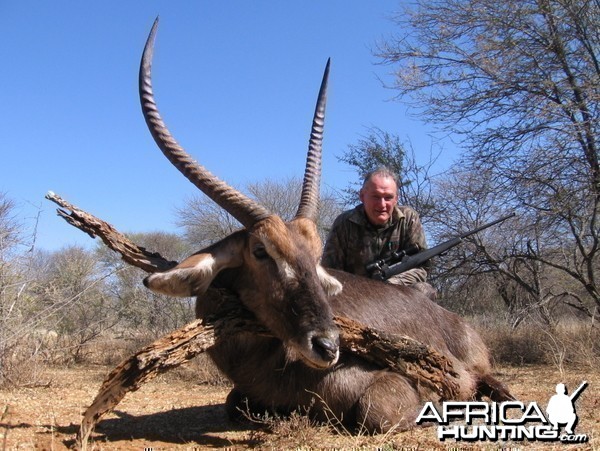 Hunting Waterbuck