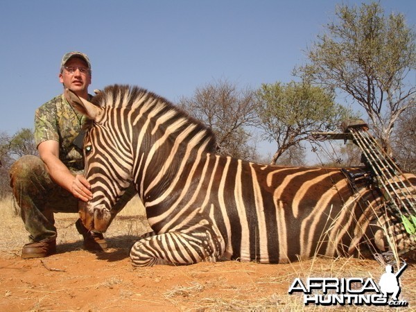 Bowhunting Zebra