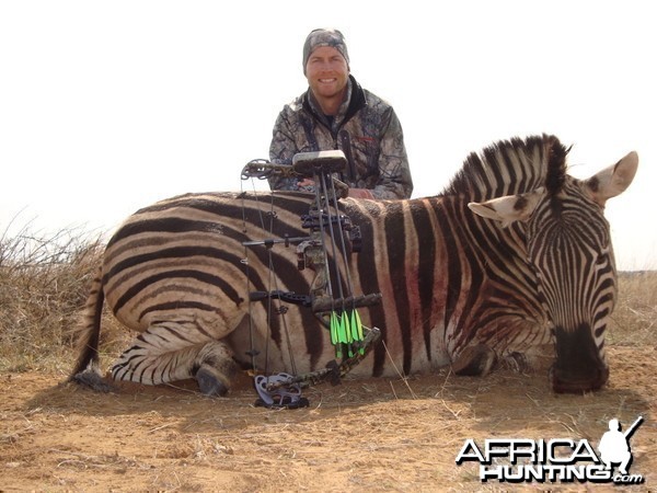 Bowhunting Zebra