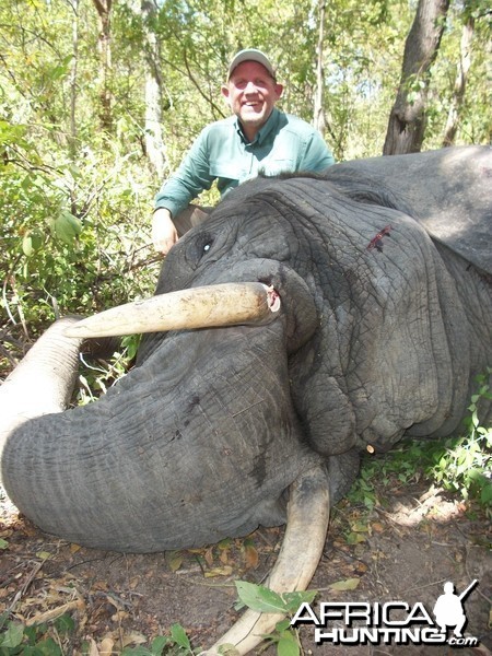 Hunting Elephant in Mozambique