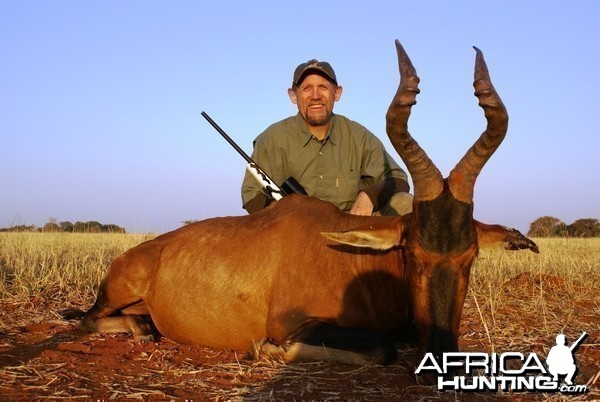 Hunting Hartebeest