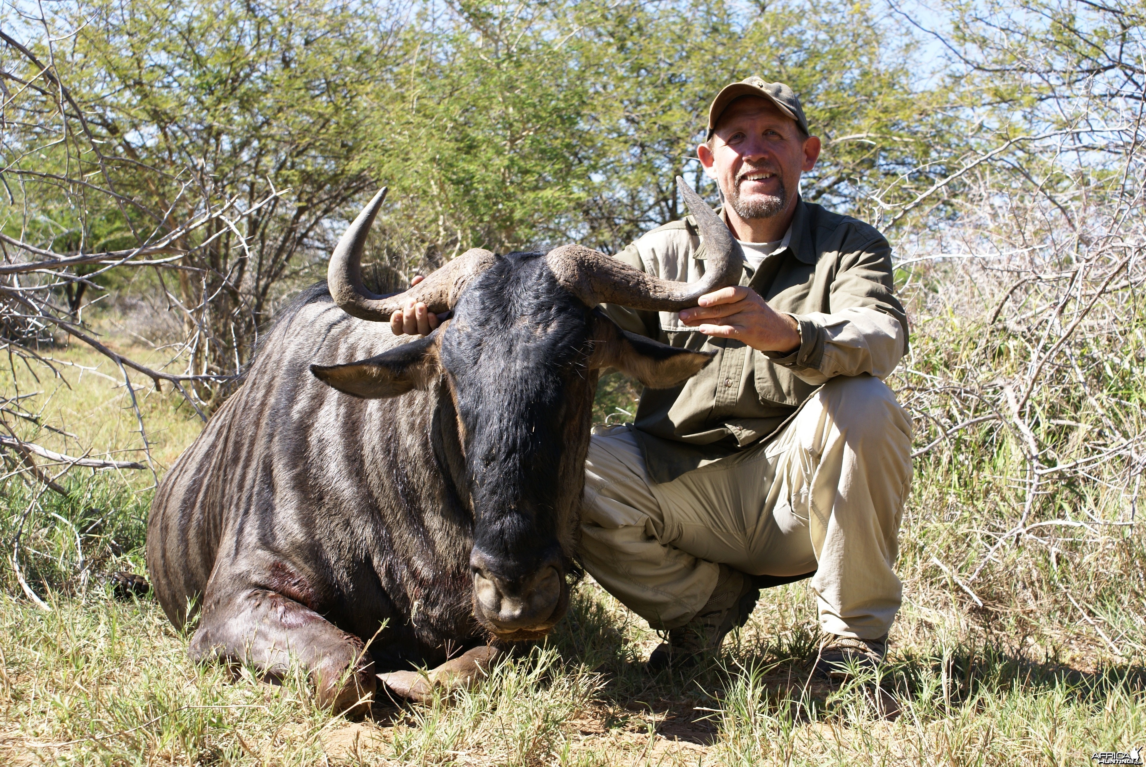 Hunting Wildebeest