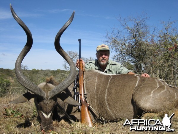 Limpopo kudu