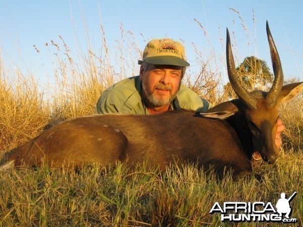Limpopo bushbuck