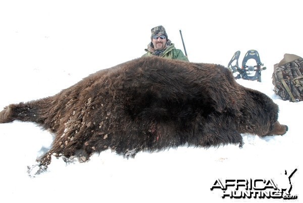 Alaska Brown Bear Hunt