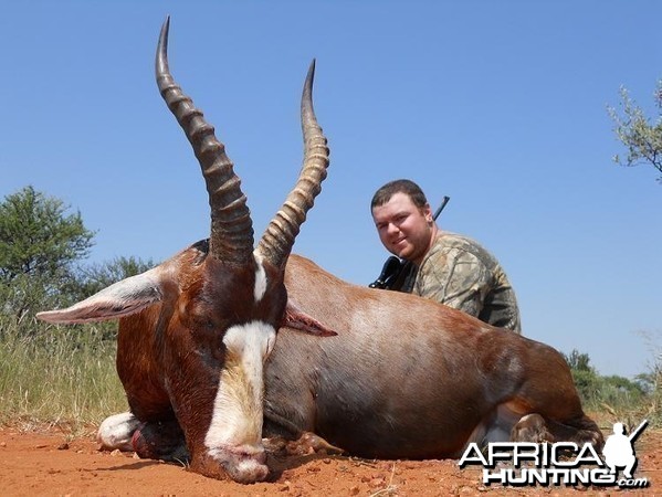 Blesbok hunt in South Africa with HartzView Hunting Safaris