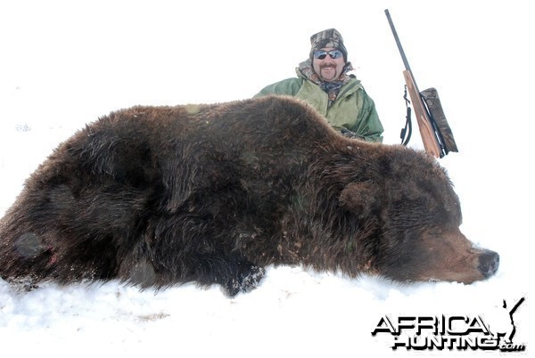 Alaska Brown Bear Hunt