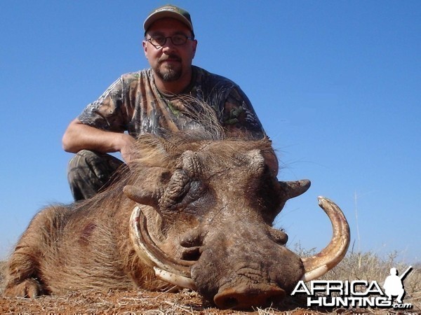 Hunting Warthog Botswana