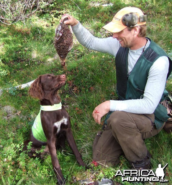 Grouse Hunting in Sweden