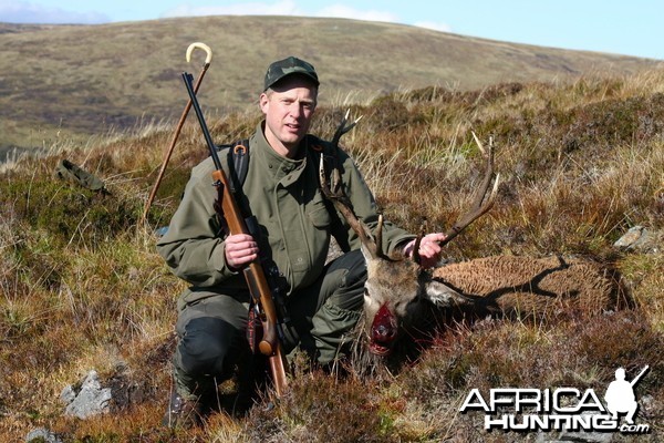 Hunting Red Stag in Scotland