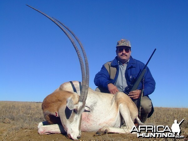 Hunting Scimitar Oryx