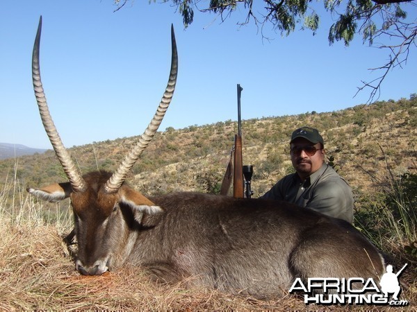 Hunting Waterbuck