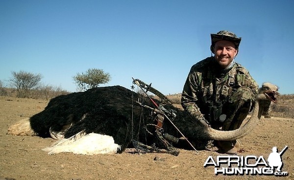 Bowhunting Ostrich