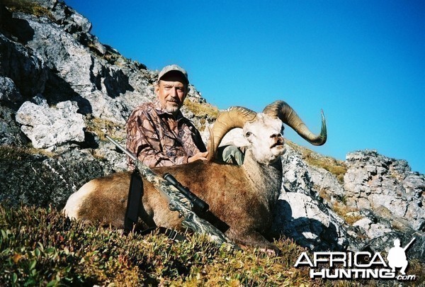 Northern BC Stone Sheep Hunt