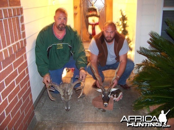 Whitetail and Blackbuck Hunt Texas