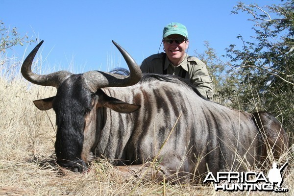 Hunting Wildebeest in Namibia