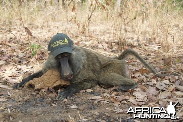 Hunting in Cameroon