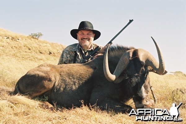 Black Wildebeest Hunt