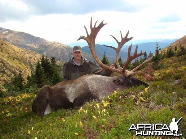 B and C Mountain Caribou Hunt