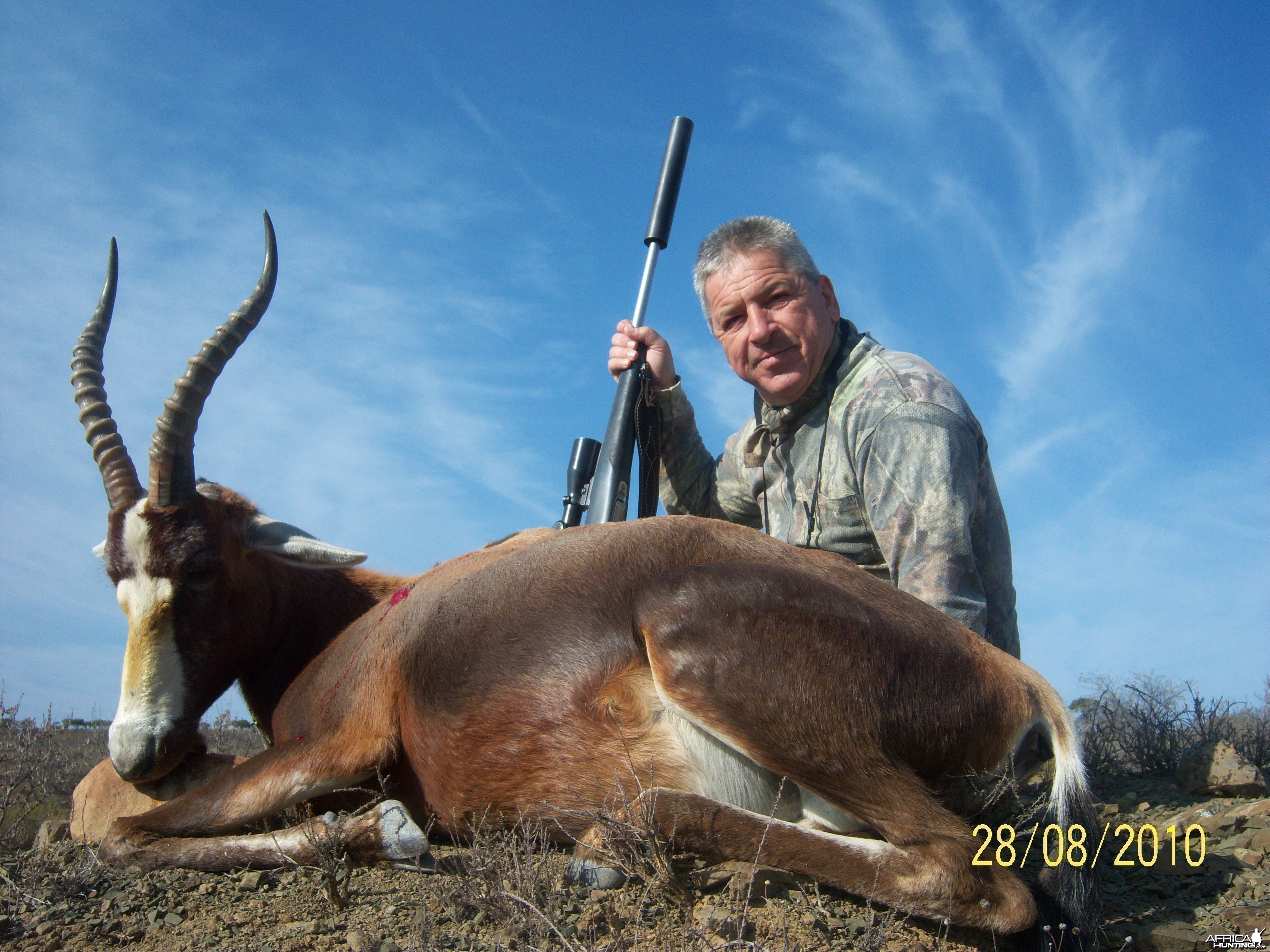 Blesbuck