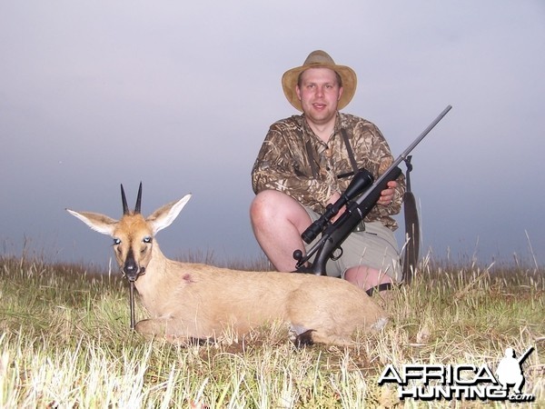 Hunting Duiker Kimberley South Africa