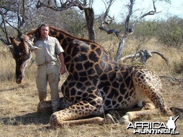 Giraffe bull hunted on my last safari