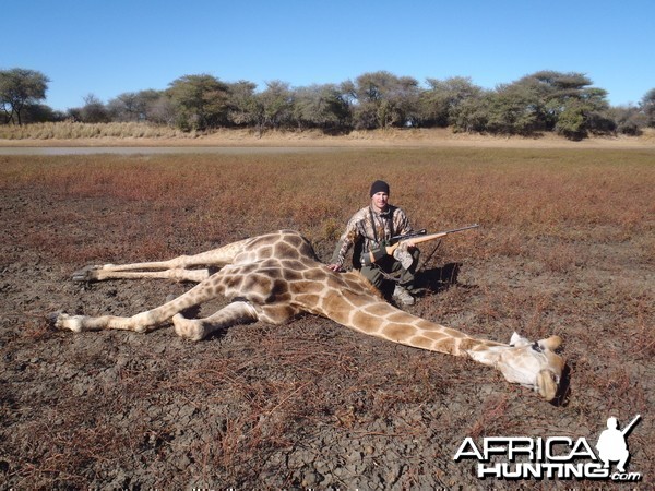 Hunting Giraffe in Namibia