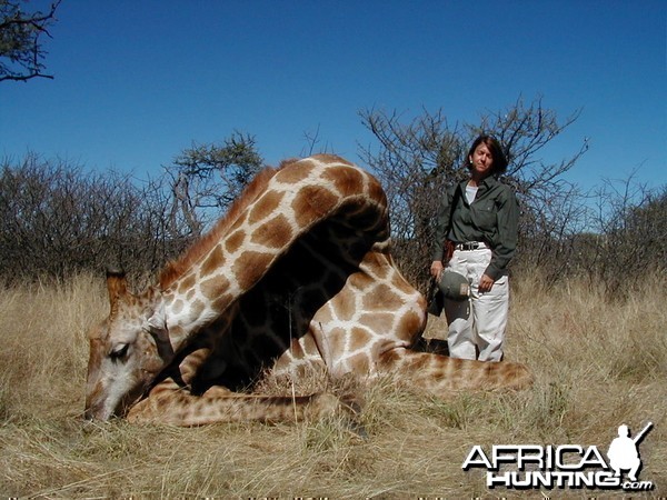 Hunting Giraffe in Namibia