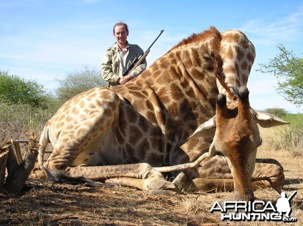 Hunting Giraffe in Namibia