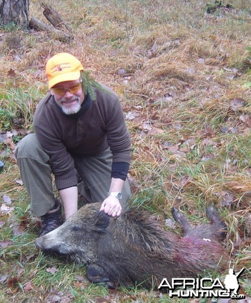 Hunting Wild Boar