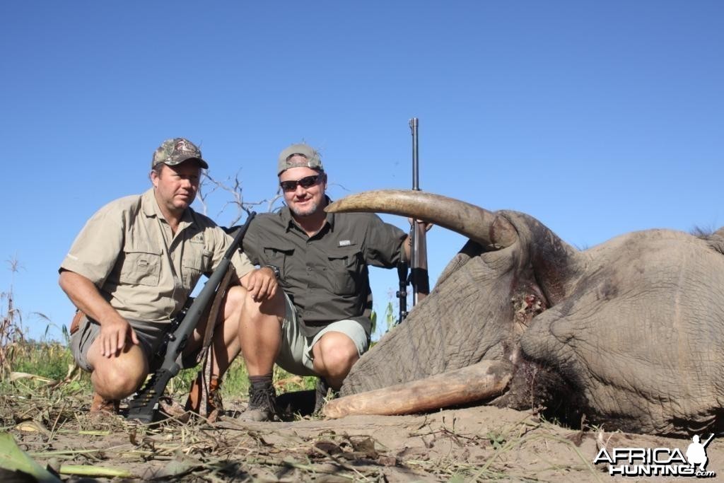 Elephant Hunt