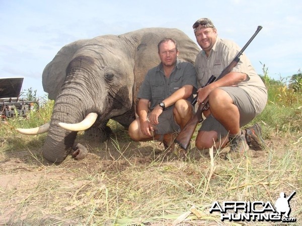 Elephant hunted by Hein Uys and client form Grootpan Hunting Safaris