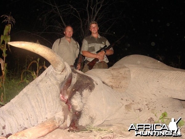 Elephant hunted by Hein Uys and client Grootpan Hunting Safaris